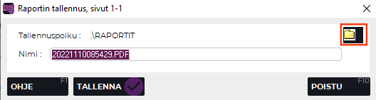 Tallennuspolku raportissa.PNG